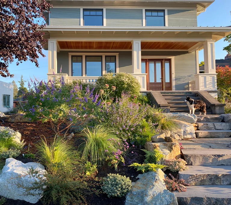 Bellingham Front Steps